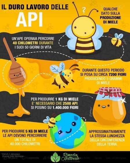 adotta un alveare adottaun alveare per salvare il mondo